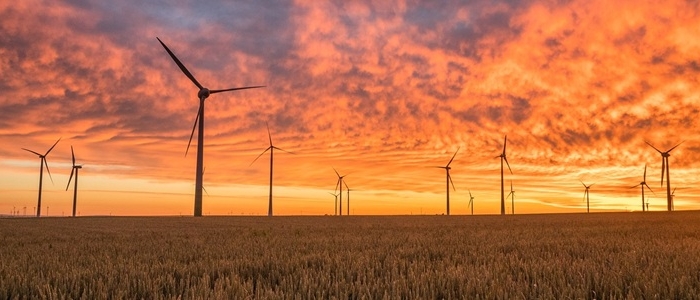 windmills-pexels